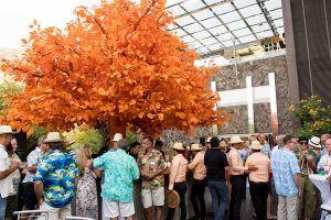 orange-tree-events
