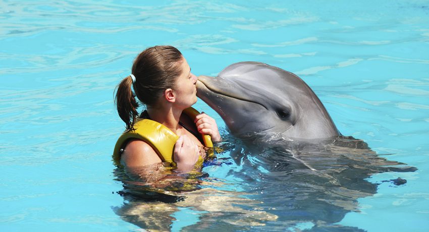 Swimming with Dolphins on your Puerto Vallarta Vacation